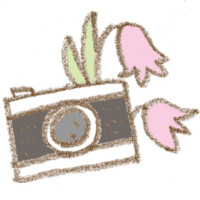 花とカメラ 花とカメラ